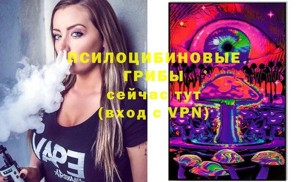 бошки Мегион