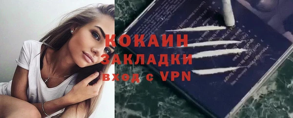 бошки Мегион