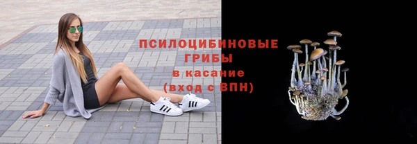 бошки Мегион